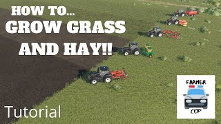 How to Grow Grass and Hay in Farming Simulator 19 [upl. by Dickey]