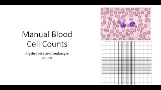 Manual Blood Cell counts [upl. by Sewoll]