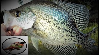 Fly Tying  Slab Crappie Silky Minnow [upl. by Tnecnev]