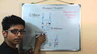 Chromosomal mutations  deletion mutation [upl. by Bryant]