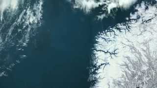 Phytoplankton  excerpt from Planet Ocean the movie [upl. by Fransen]