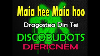 Dragostea Din Tei Remix  DiscoBudots  Dj Ericnem [upl. by Nelle412]