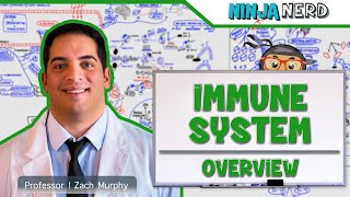 Immunology  Immune System Overview [upl. by Aiuqes525]