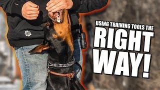 How to use E collar and prong collars properly  Dog training with Americas Canine Educator [upl. by Artsa]