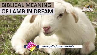 Biblical Meaning of LAMB in Dream  Spiritual Meaning of Sheep Lamb [upl. by Legir320]