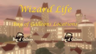 Bag of Galleons Locations Wizard Life [upl. by Ahsiyk537]