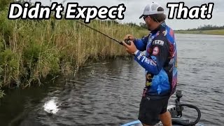 How to Fish a Spinnerbait  Scott Martin  Everything you need to know [upl. by Ahsanat119]