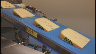 Food Industry Solutions  Dairy  Conveyor Belts by Volta Belting [upl. by Robbins636]