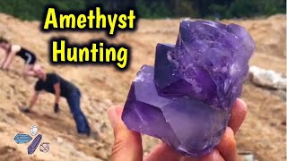 Finding Large Amethyst Crystals Digging Jackson’s Crossroads  Public Mine  JXR [upl. by Rollecnahc]