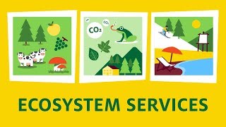 What are ecosystem services [upl. by Balkin]