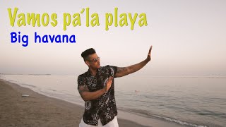 Big Havana  Vamos pà la playa Official Video [upl. by Nywles250]