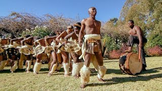 Zulu Dance Explosion A Powerhouse of Tradition and Agility in Every Step 🕺💃 [upl. by Erual]