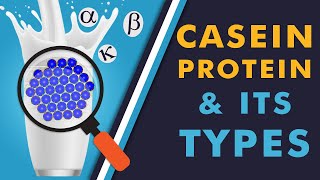 Casein Protein amp Its Types [upl. by Philbin]