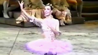 Sylvie Guillem  Sleeping Beauty ABT Act I [upl. by Deina]