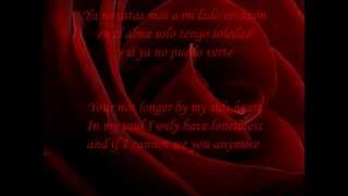 Luz Casal  Historia De Un Amor Lyrics with translation [upl. by Ylatan]