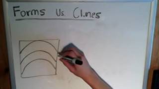 The Basics of Geology Antiform or Anticline [upl. by Ecinehs]