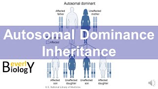 Autosomal Dominance Genetic Inheritance story based [upl. by Faxen854]