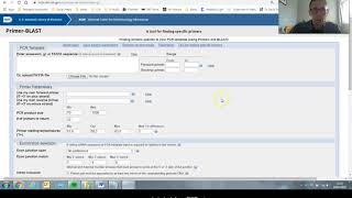 How to use PrimerBlast to create PCR primers [upl. by Kayley935]