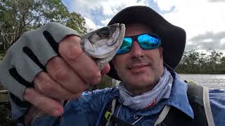 Noosa river fishing trip Nov2024 [upl. by Leffen717]