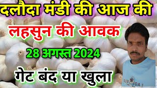 दलौदा मंडी आज की लहसुन आवक 28 अगस्त 2024 garlic arrival today daloda Mandi [upl. by Ecirpak721]