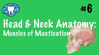 Head amp Neck Anatomy  Muscles of Mastication  INBDE [upl. by Assilat]