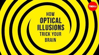 How optical illusions trick your brain  Nathan S Jacobs [upl. by Ahsinyar354]