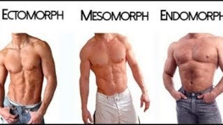 Ectomorph  Endomorph  Mesomorph  The 3 Different Body Types [upl. by Lyford]