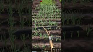 Wurm Online Farming [upl. by Stefano]