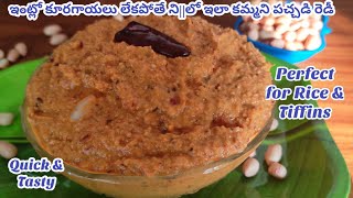 Palli pachadi in Telugu for rice Peanut chutney recipe Verusenaga pachadi Village style [upl. by Atirec]