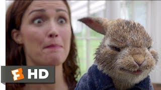 Peter Rabbit 2018  Skirmish In The Studio Scene 510  Movieclips [upl. by Ellevel]