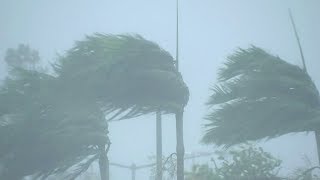 Shocking footage shows Cyclone Marcus slamming the Australian coast [upl. by Nnaeoj386]