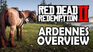 Ardennes Overview  Red Dead Redemption 2 Horses [upl. by Ojela540]