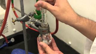 UTSC  Chemistry Lab Grignard Reaction Experiment [upl. by Boorer]