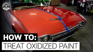 How To Restore Faded amp Discolored Paint  Chemical Guys [upl. by Zerla]