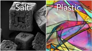 14 common objects under a microscope [upl. by Romeon]