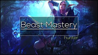 Legion  Beast Mastery Hunter  Full DPS Guide 732735 [upl. by Andriette]