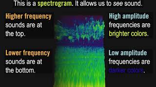 What is a Spectrogram [upl. by Edylc888]