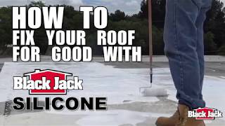 How To Apply Silicone Roof Coatings Using Black Jack® Silicone [upl. by Tia]