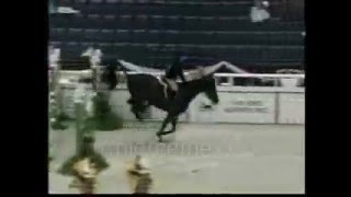 Brianne Goutal2004 WIHS Equitation Finals [upl. by Riane228]