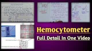 Hemocytometer  hemocytometer rbc count  calculation in neubaur chamber [upl. by Courtney385]