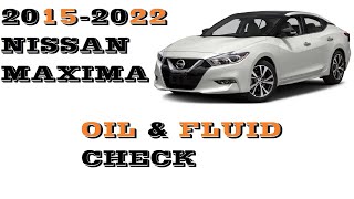 How to check Oil and fluids Nissan Maxima 20152022 [upl. by Naivaj]