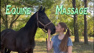 Equine Massage Simple Techniques  LanaZavada [upl. by Akienaj983]