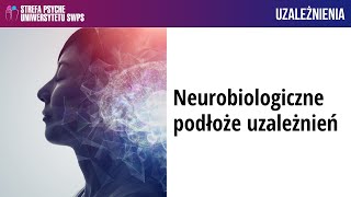 Neurobiologiczne podłoże uzależnień – dr n med Joanna Krawczyk [upl. by Thetes]