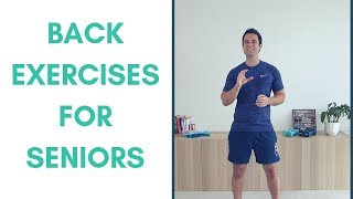 Essential Lower Back Exercises for Seniors [upl. by Clayson]