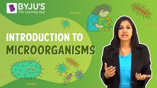 Microorganisms Introduction [upl. by Tonnie881]