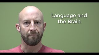 Psycholinguistics Language and the Brain [upl. by Lyreb]