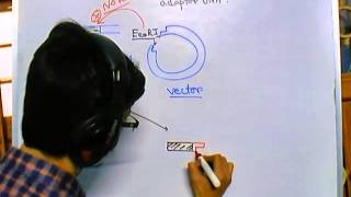 Difference between linker and adaptor DNA [upl. by Jard]