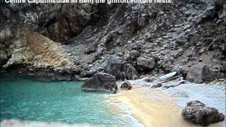 Hidden beaches in Croatia  Beach Mali Bok Island Cres [upl. by Markiv696]