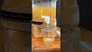 FREEZE DISTILLING MEAD [upl. by Issor]