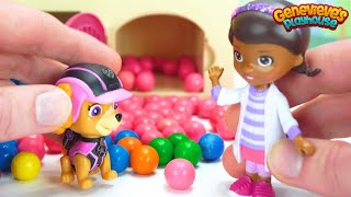 The Paw Patrol pups are Sick Can Doc McStuffins help them feel better [upl. by Sanger]